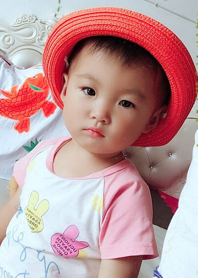 模特-