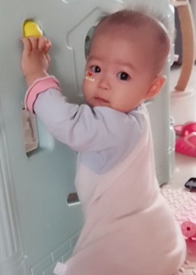 模特-