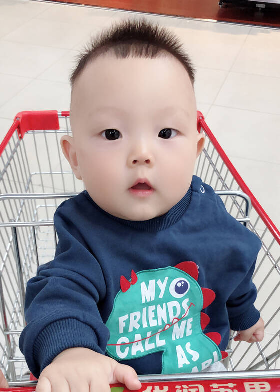 模特-