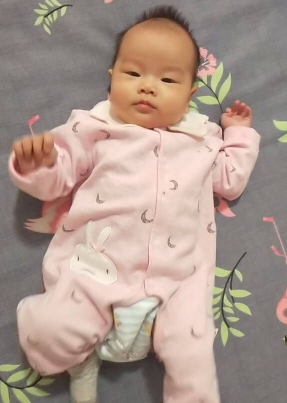 模特-