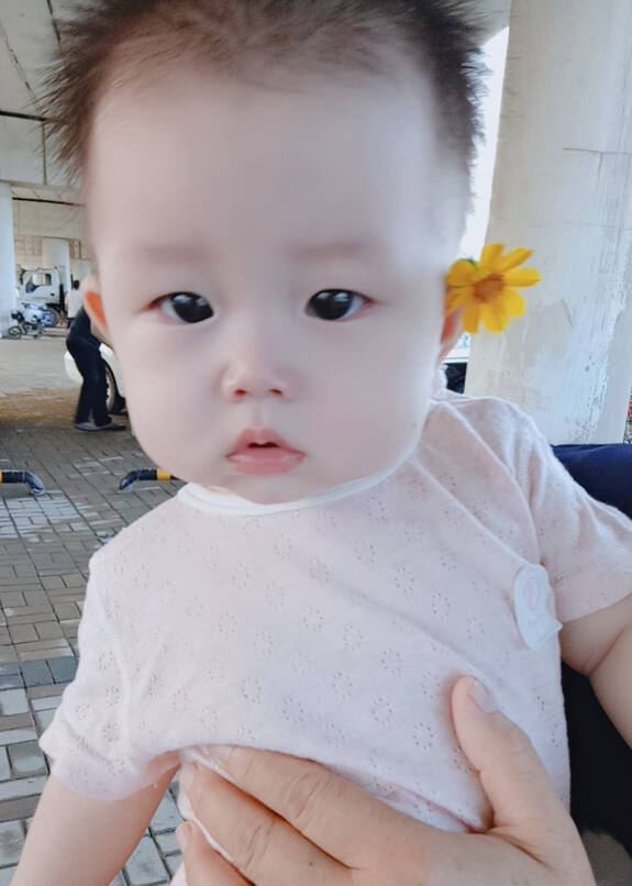 模特-