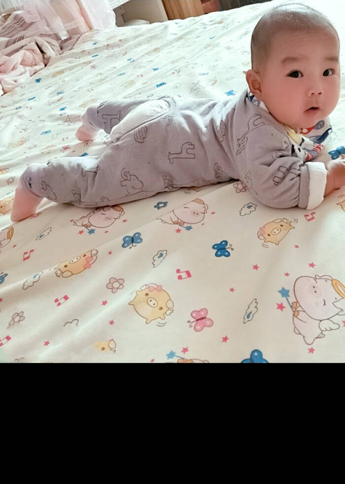 模特-