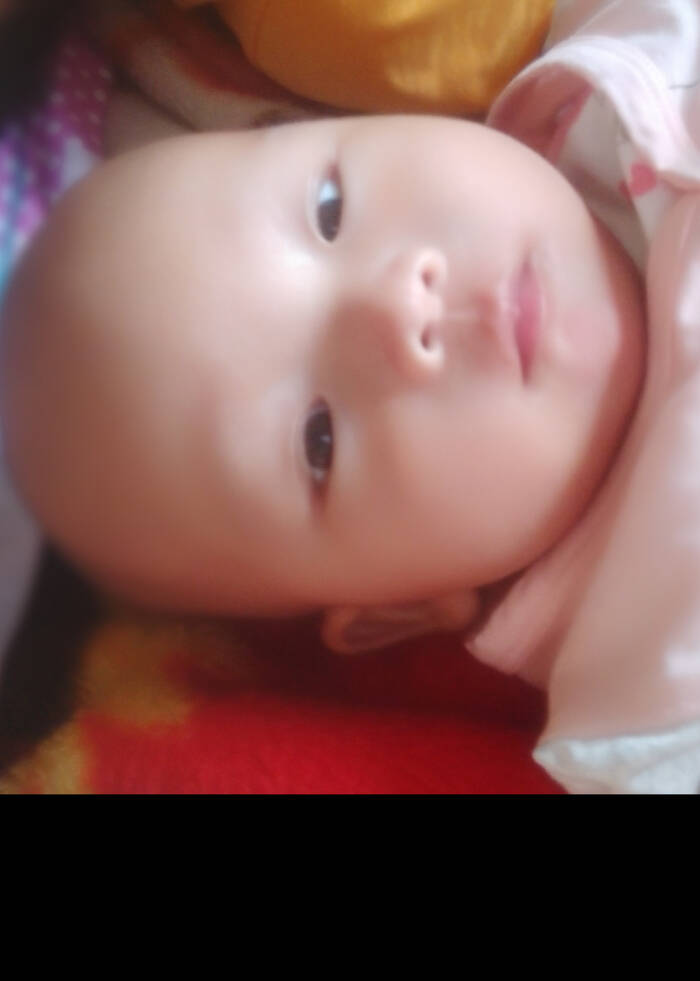 模特-