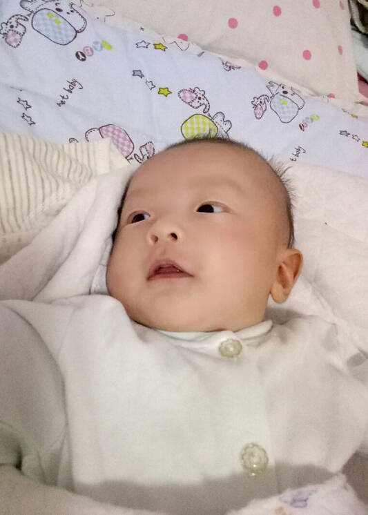 模特-