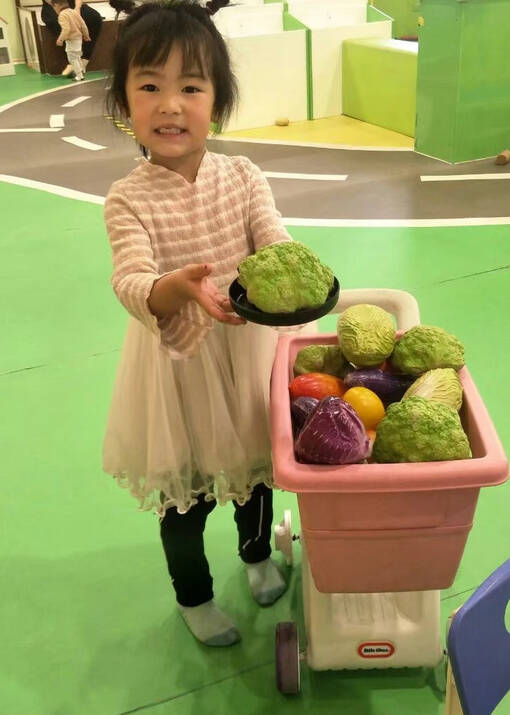 模特-
