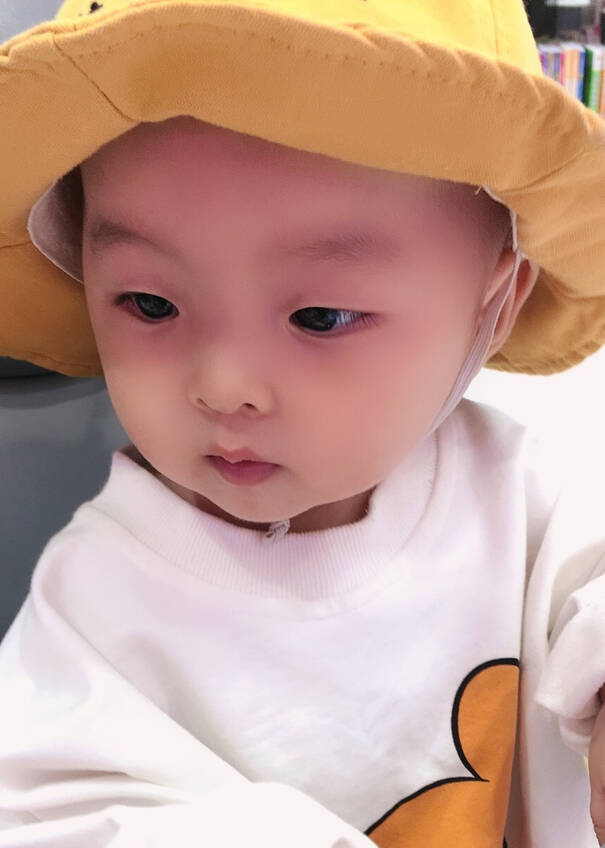 模特-