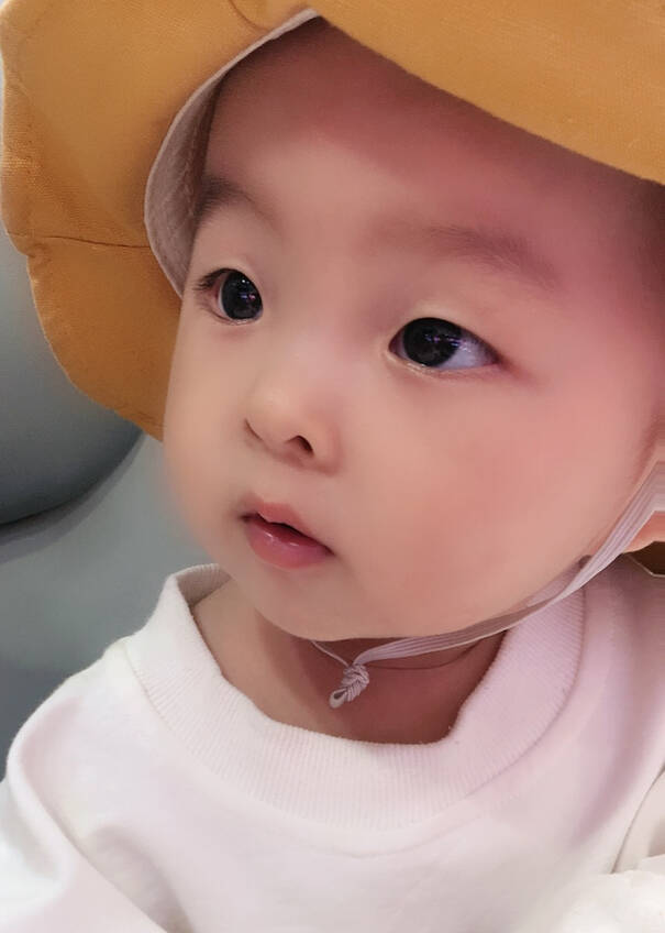 模特-
