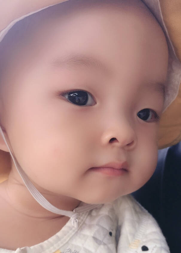 模特-