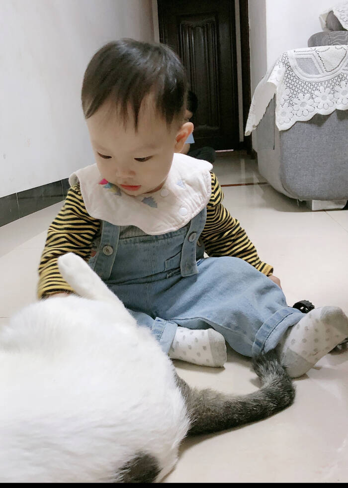 模特-