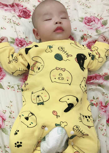 模特-