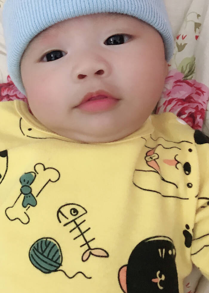 模特-