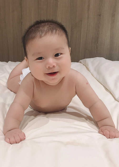 模特-