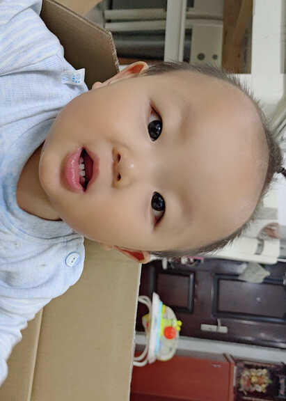 模特-
