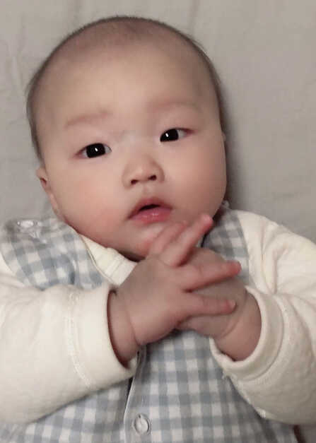 模特-