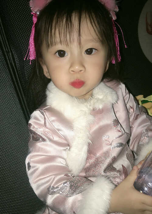 模特-