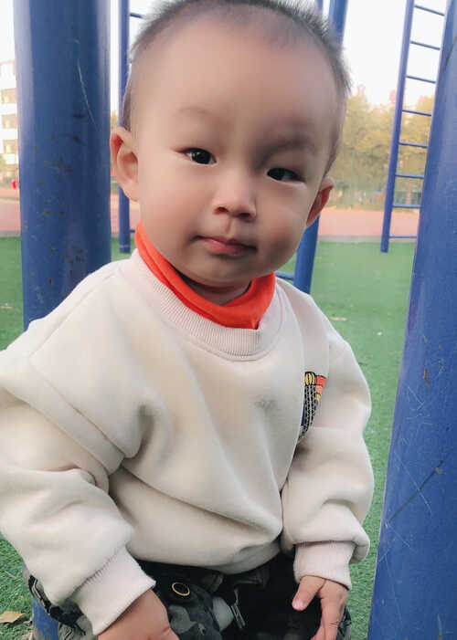 模特-