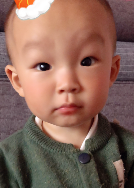 模特-