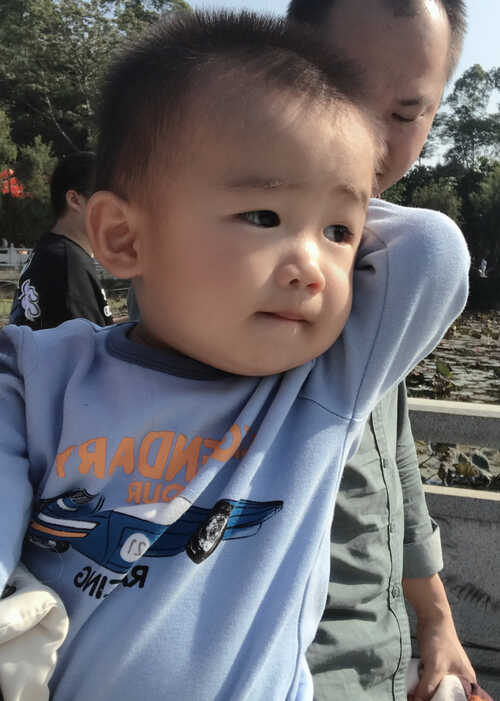 模特-