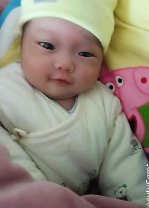 模特-