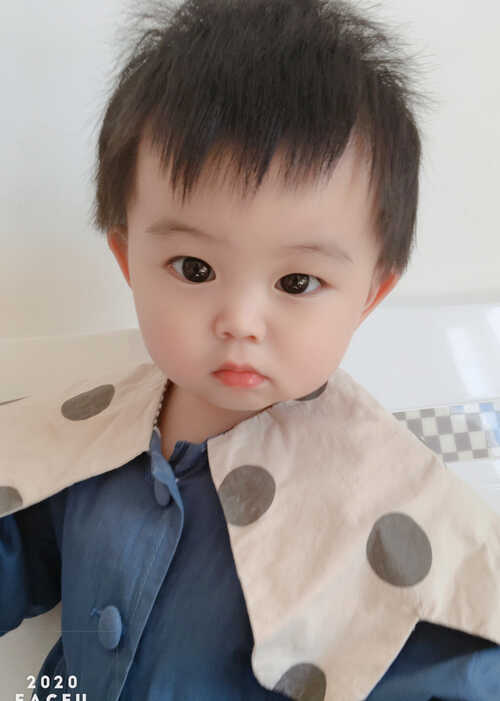模特-