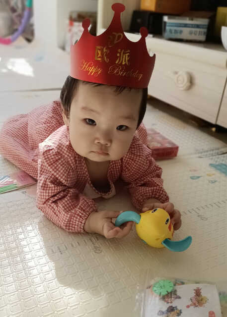 模特-