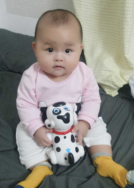 模特-