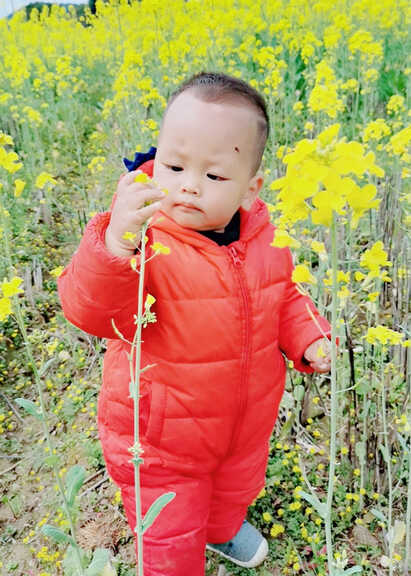 模特-