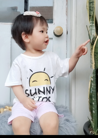 模特-