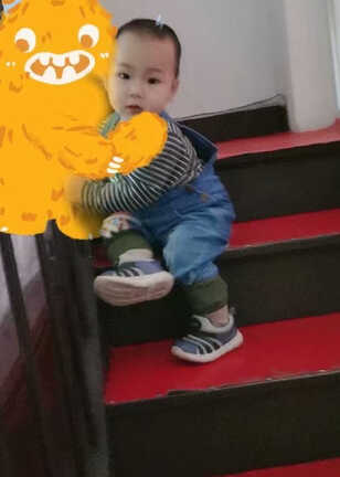 模特-