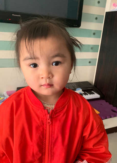 模特-