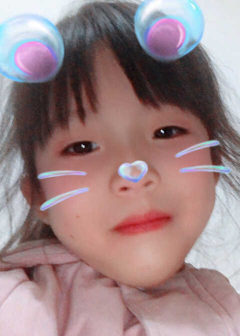 模特-