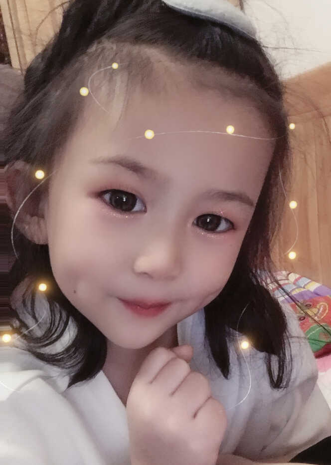 模特-