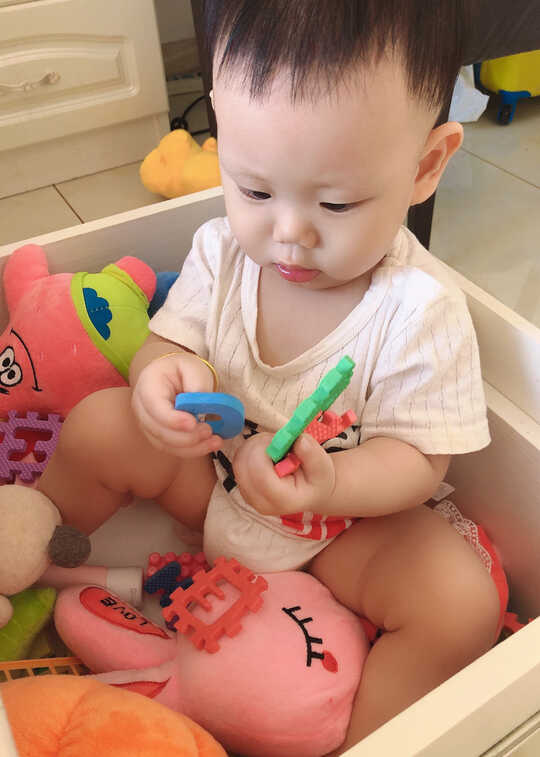 模特-