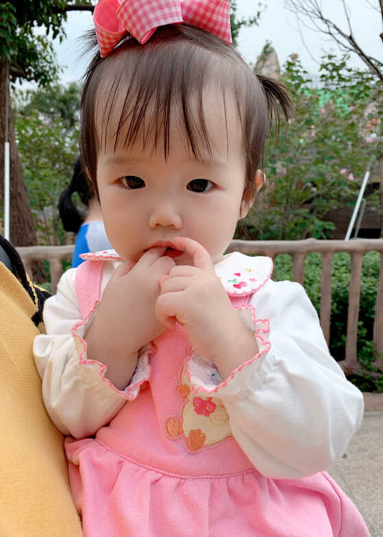 模特-