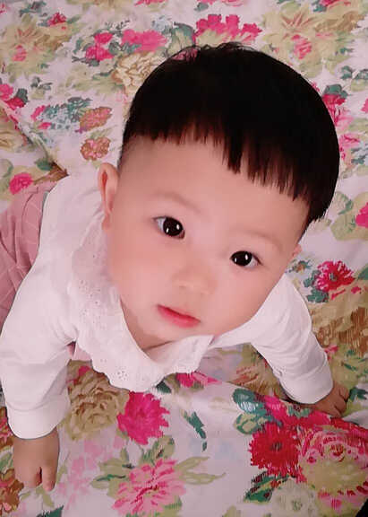模特-