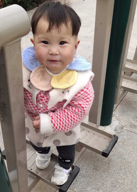 模特-