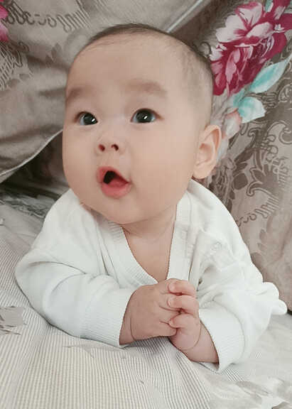 模特-