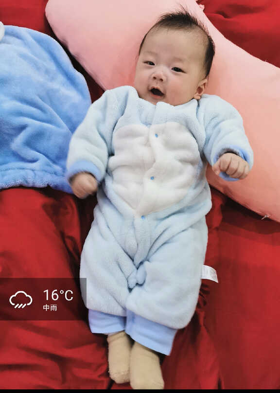 模特-