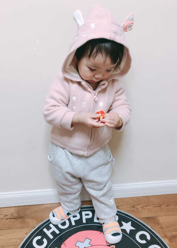 模特-