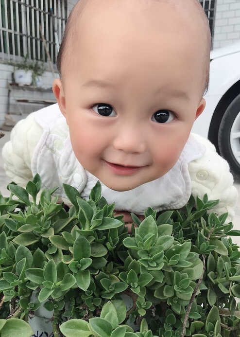 模特-