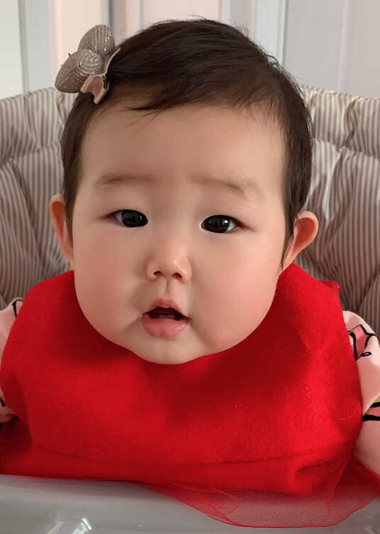模特-