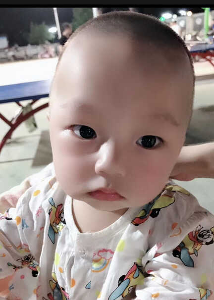 模特-