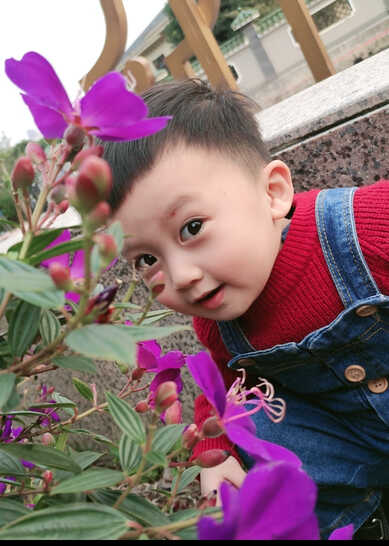 模特-