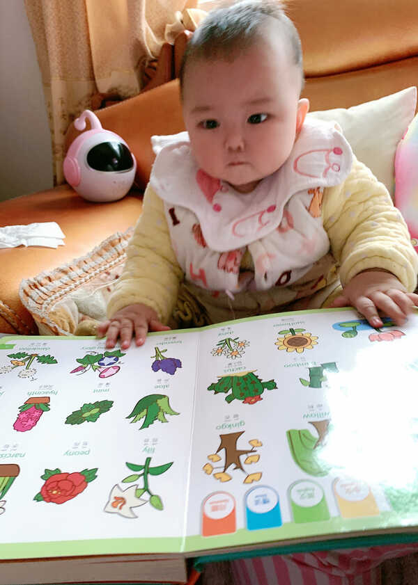 模特-