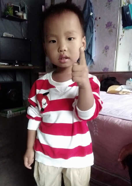 模特-