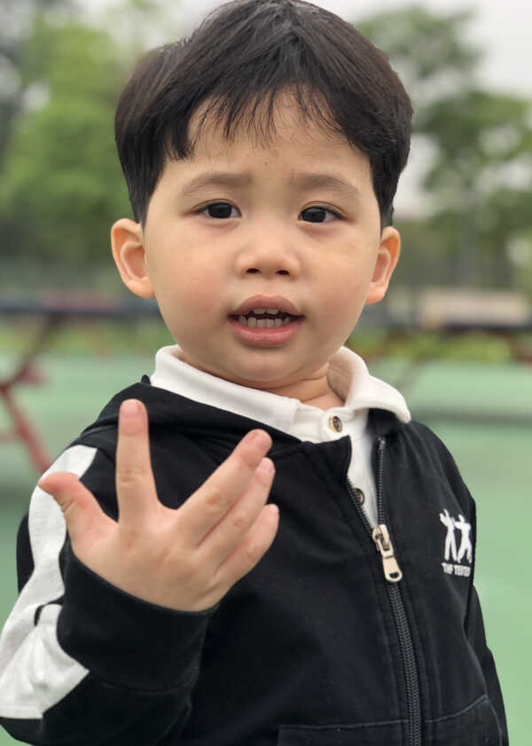 模特-