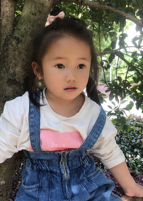 模特-