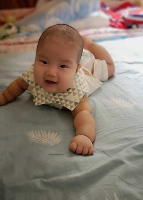 模特-