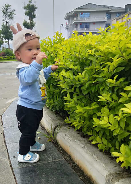 模特-