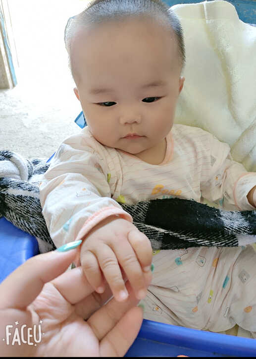 模特-